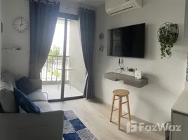 1 Habitación Departamento en alquiler en Marvest, Hua Hin City, Hua Hin, Prachuap Khiri Khan, Tailandia