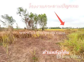  Land for sale in Ho Mok, Phra Nakhon Si Ayutthaya, Ho Mok, Bang Sai