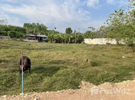 ขายที่ดิน ใน เทพกระษัตรี, ภูเก็ต, เทพกระษัตรี, ถลาง, ภูเก็ต