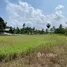  Terrain for sale in Phangnga, Lo Yung, Takua Thung, Phangnga