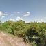  Land for sale in Mueang Udon Thani, Udon Thani, Sam Phrao, Mueang Udon Thani