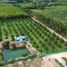  Земельный участок for sale in Ban Laeng, Районг, Ban Laeng