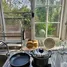 2 Bedroom Apartment for rent at PP Condominium, Tha Sala, Mueang Chiang Mai, Chiang Mai