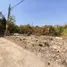 在Mueang Thong Thani 2出售的 土地, Ban Mai, 白蒛, 暖武里