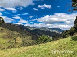 在Loja出售的 土地, El Tambo, Catamayo