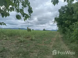  Land for sale in Wang Sai, Nakhon Ratchasima, Wang Sai, Pak Chong