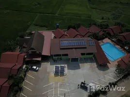 13 침실 호텔 & 리조트을(를) FazWaz.co.kr에서 판매합니다., 금, 카 세트 솜, Chaiyaphum, 태국