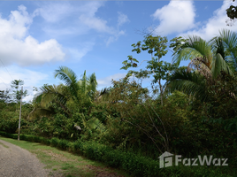 N/A Land for sale in , Puntarenas Peaceful Fertile Land in Quepos/Aguirre for Sale by Owner