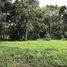  Land for sale in Alajuela, Orotina, Alajuela