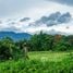 ขายที่ดิน ใน แม่ริม เชียงใหม่, เหมืองแก้ว, แม่ริม