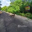  Земельный участок for sale in Khlong Ha, Патумтани, Khlong Ha, Khlong Luang