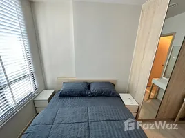 คอนโด 1 ห้องนอน ให้เช่า ในโครงการ นิว โนเบิล งามวงศ์วาน, บางเขน