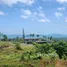  Grundstück zu verkaufen in Pa Khlok, Phuket, Pa Khlok, Thalang