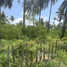  Land for sale in Ko Pha-Ngan, Surat Thani, Ko Pha-Ngan, Ko Pha-Ngan