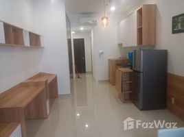 Studio House for rent in District 7, Ho Chi Minh City, Tan Hung, District 7