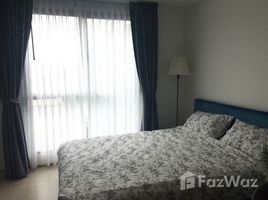1 Bedroom Apartment for rent at The Excel Hybrid, Bang Na
