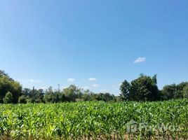  Land for sale in Phayao, Ang Thong, Chiang Kham, Phayao