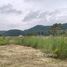  Земельный участок for sale in Nong Sarai, Накхон Ратчасима, Nong Sarai, Pak Chong
