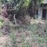  Land for sale in Phlu Ta Luang, Pattaya, Phlu Ta Luang