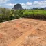 ขายที่ดิน ใน หนองทะเล, กระบี่, หนองทะเล, เมืองกระบี่, กระบี่