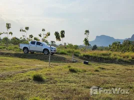 在佛丕出售的 土地, Nong Chumphon, Khao Yoi, 佛丕