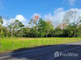  Terreno (Parcela) en venta en Costa Rica, Limón, Limón, Costa Rica