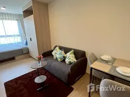 คอนโด สตูดิโอ ให้เช่า ในโครงการ เดอะ เบส บูกิต, วิชิต, เมืองภูเก็ต