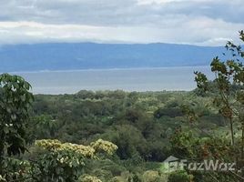  Land for sale in Costa Rica, Puntarenas, Puntarenas, Costa Rica