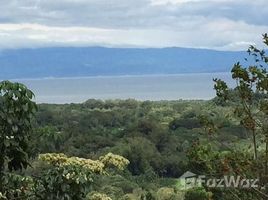  Terreno (Parcela) en venta en Puntarenas, Puntarenas, Puntarenas