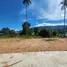  Land for sale in Koh Samui Surat Thani, Maret, Koh Samui