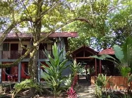 10 Bedroom Hotel for sale in Costa Rica, Limon, Limon, Costa Rica