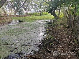  Land for sale in Saraphi, Chiang Mai, Tha Wang Tan, Saraphi