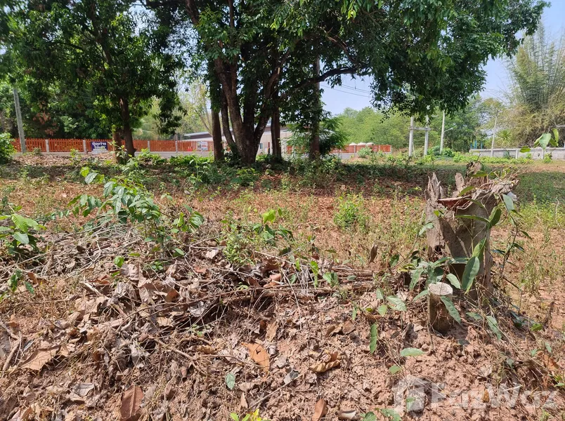 30 Best Land Plots for Sale in Udon Thani FazWaz