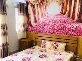 10 Schlafzimmer Haus zu verkaufen in Tan Binh, Ho Chi Minh City, Ward 10