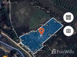  Grundstück zu verkaufen in Ban Klang, Chiang Mai, Ban Klang, San Pa Tong
