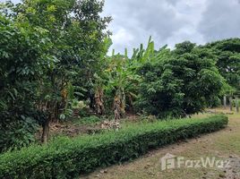  Terrain for sale in Saraphi, Chiang Mai, Don Kaeo, Saraphi