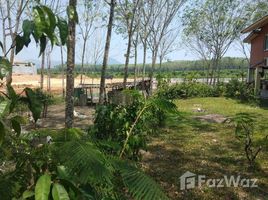  Land for sale in Si Sunthon, Thalang, Si Sunthon