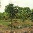 2 Bedroom House for sale in Chachoengsao, Khlong Khuean, Khlong Khuean, Chachoengsao