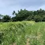  Grundstück zu verkaufen in Thep Krasattri, Phuket, Thep Krasattri, Thalang