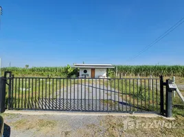 ขายที่ดิน ใน กระตีบ, นครปฐม, กระตีบ