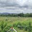  Land for sale in Phuket, Thep Krasattri, Thalang, Phuket