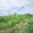  Land for sale in Bueng Kho Hai, Pathum Thani, Bueng Kho Hai