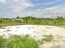 ขายที่ดิน ใน นิคมสร้างตนเอง, ลพบุรี, นิคมสร้างตนเอง, เมืองลพบุรี, ลพบุรี, ไทย