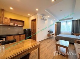 Studio House for rent in Son Tra Da Nang, Man Thai, Son Tra, Da Nang