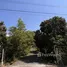  Land for sale in Chiang Mai, Pa Pong, Doi Saket, Chiang Mai