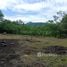  Terreno (Parcela) en venta en Costa Rica, Nicoya, Guanacaste, Costa Rica