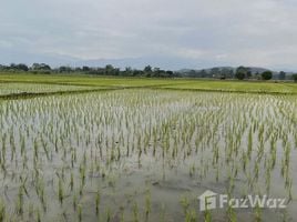 ขายที่ดิน ใน เชียงใหม่, สันโป่ง, แม่ริม, เชียงใหม่