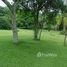  Land for sale in Fernando De Noronha, Rio Grande do Norte, Fernando De Noronha, Fernando De Noronha