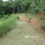  Land for sale in Puntarenas, Aguirre, Puntarenas