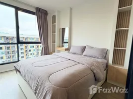 คอนโด 1 ห้องนอน ให้เช่า ในโครงการ บลู สุขุมวิท 105, บางนา, บางนา